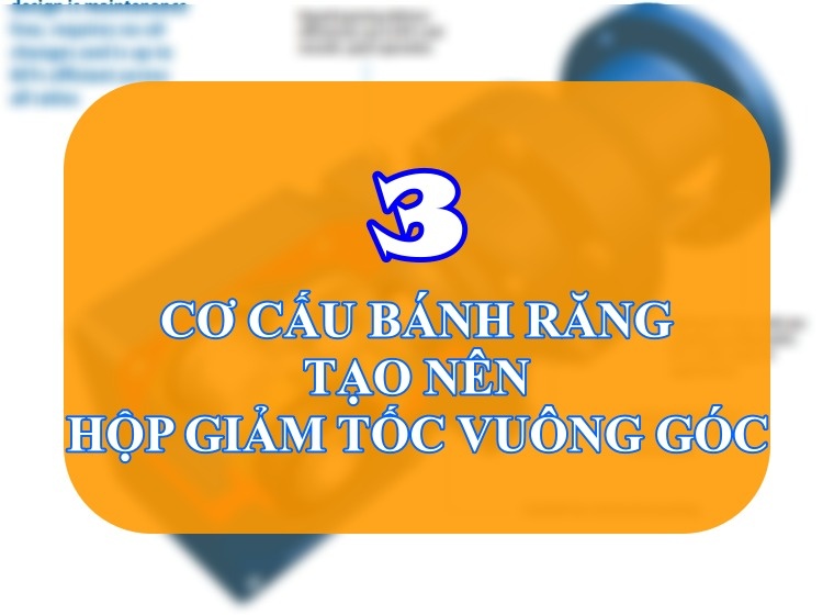 3 CƠ CẤU BÁNH RĂNG CỦA HỘP GIẢM TỐC VUÔNG GÓC BẠN CẦN BIẾT