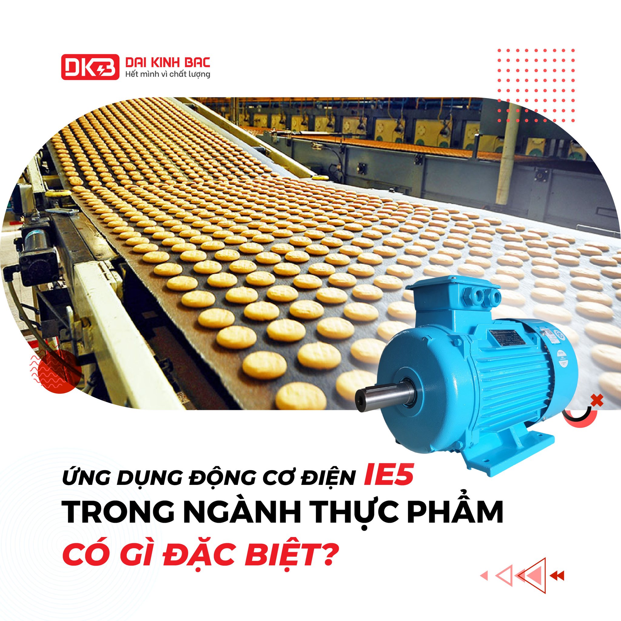 TẠI SAO ĐỘNG CƠ IE5 ĐƯỢC KHUYẾN KHÍCH SỬ DỤNG TRONG NGÀNH THỰC PHẨM?