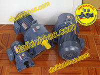 MOTOR LIỀN HỘP GIẢM TỐC Ở BÌNH DƯƠNG