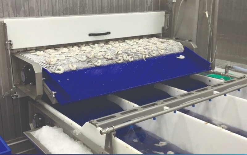 TẠI SAO DÂY CHUYỀN ĐÔNG LẠNH HAY BỊ KẸT XÍCH?