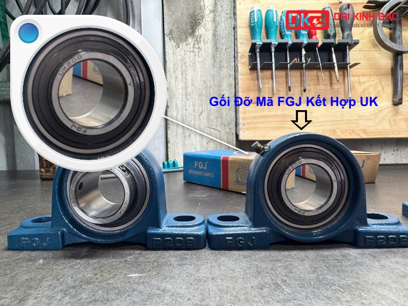 VÌ SAO GỐI ĐỠ MÃ FGJ KẾT HỢP UK LẠI ĐƯỢC ƯA CHUỘNG GẦN ĐÂY?