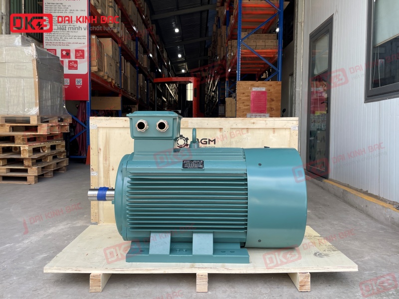MOTOR ĐIỆN BGM 3 PHA – ĐỦ DẢI CÔNG SUẤT 0.75KW ĐẾN 315KW