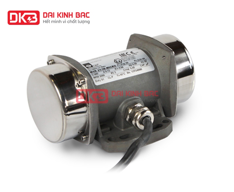 ĐỘNG CƠ RUNG MINI - ĐẦM RUNG MINI 