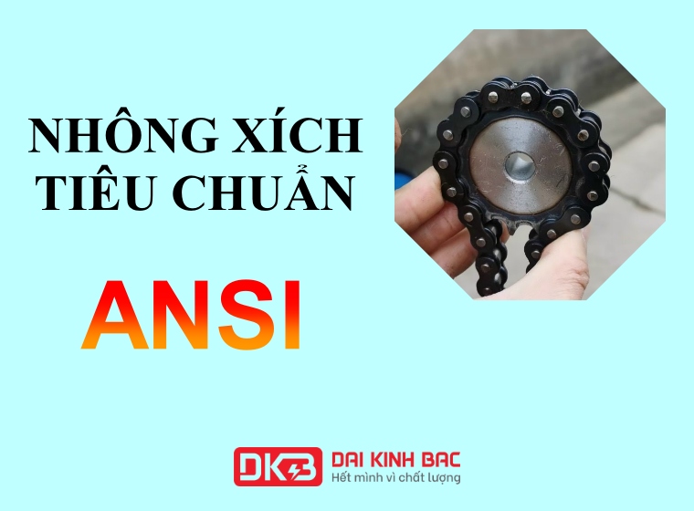 NHÔNG XÍCH TIÊU CHUẨN CHẤT LƯỢNG ANSI LÀ GÌ?