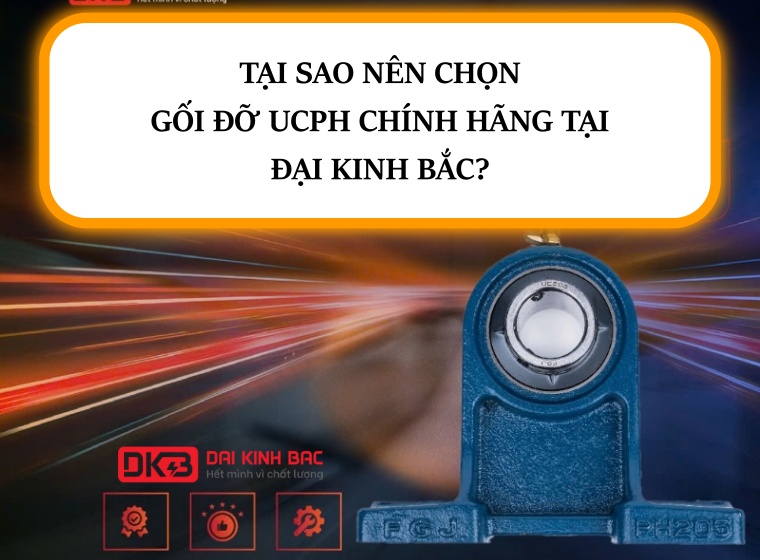 TẠI SAO NÊN CHỌN GỐI ĐỠ UCPH CHÍNH HÃNG TẠI ĐẠI KINH BẮC?