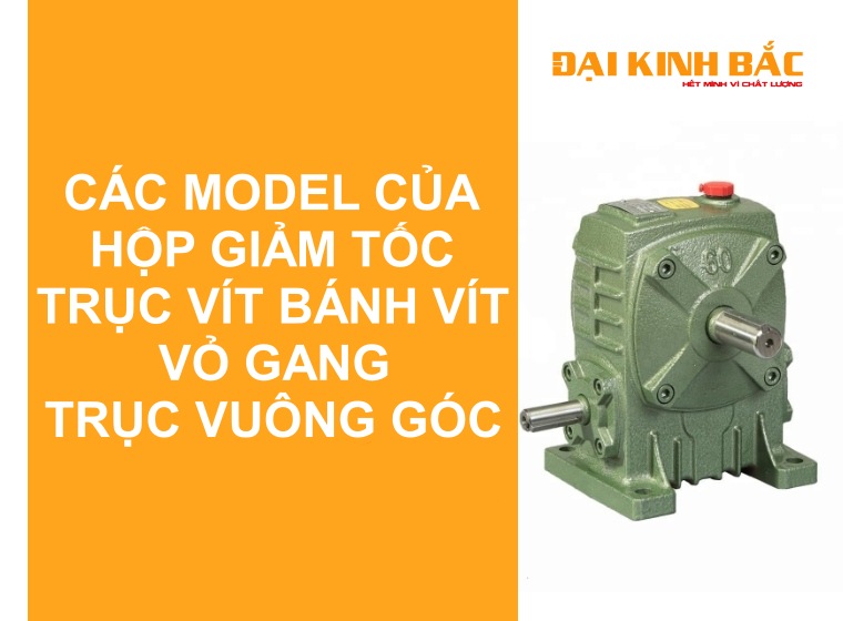 TỔNG HỢP CÁC MODEL CỦA HỘP GIẢM TỐC TRỤC VÍT BÁNH VÍT VỎ GANG TRỤC VUÔNG GÓC