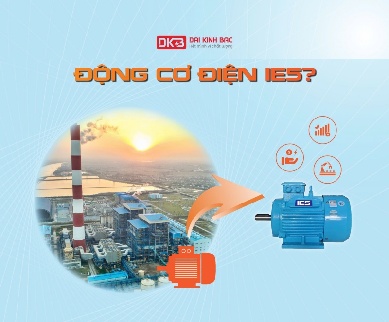 TOP 5 THƯƠNG HIỆU ĐỘNG CƠ IE5 ĐÁNG MUA NHẤT