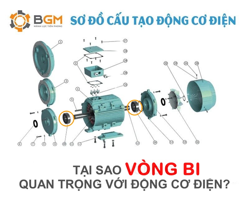 TẠI SAO VÒNG BI QUAN TRỌNG VỚI ĐỘNG CƠ ĐIỆN?
