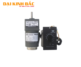 Mô tơ giảm tốc mini 6W-250W