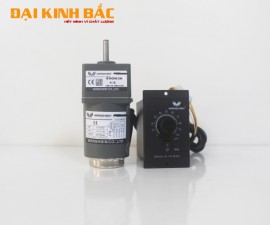 Mô tơ giảm tốc 6W