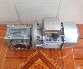 Motor Bonfiglioli Lắp Hộp NMRV