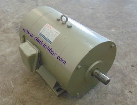 Động Cơ DC 1 Chiều 190V