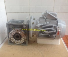 Motor Giảm Tốc Cốt Âm