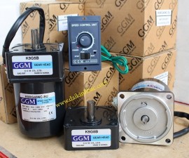 Motor GGM 1 Pha 220V