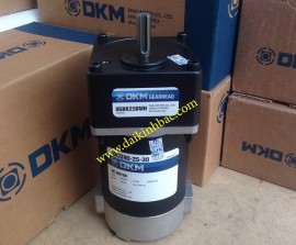 Motor Giảm Tốc DC 24V