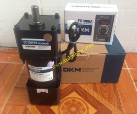 Motor Giảm Tốc DKM 1 Pha 220V