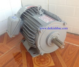 Motor Điện Mitsubishi