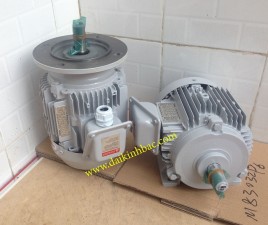 Motor Điện Toshiba