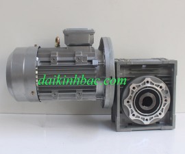 Motor hộp số băng tải