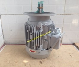 Motor Điện Toshiba Mặt Bích