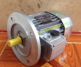 Motor Điện Bonfiglioli Mặt Bích