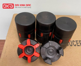 Các Model/ Size Khớp Nối Trục Gang JAW