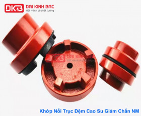 Các Size, Model Khớp Nối Đệm Cao Su NM Phổ Biến