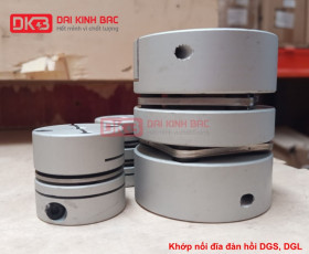 CHUYÊN CUNG CẤP KHỚP NỐI ĐĨA ĐÀN HỒI DGS, DGL