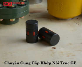 Chuyên Cung Cấp Khớp Nối Trục GE