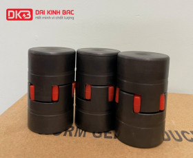 Cung Cấp Khớp Nối Trục Gang JAW Chính Hãng