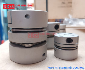 ĐỊA CHỈ TIN CẬY MUA KHỚP NỐI ĐĨA ĐÀN HỒI DGS, DGL