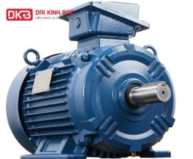 ĐƠN VỊ CUNG CẤP VÀ PHÂN PHỐI MOTOR ĐIỆN HYOSUNG CHÍNH HÃNG 