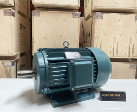 Động Cơ Điện 3 Pha 110KW - 150HP