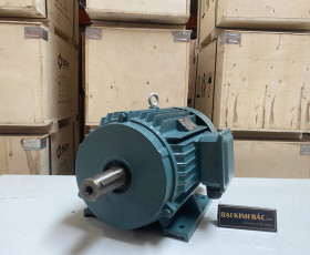 Động Cơ Điện 3 Pha 11KW - 15HP