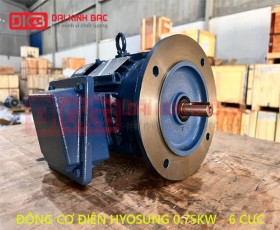 ĐÔNG CƠ ĐIỆN HYOSUNG 0.75KW - 1HP 6P 6 CỰC - HÀN QUỐC