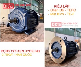 ĐỘNG CƠ ĐIỆN HYOSUNG 0.75KW - HÀN QUỐC