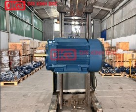 ĐỘNG CƠ ĐIỆN HYOSUNG 110KW - HÀN QUỐC