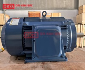 ĐỘNG CƠ ĐIỆN HYOSUNG 22KW - 30HP 2P 2 CỰC - HÀN QUỐC