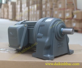 Động Cơ Giảm Tốc Wanshsin 0,2kw (1/4hp) Chân Đế