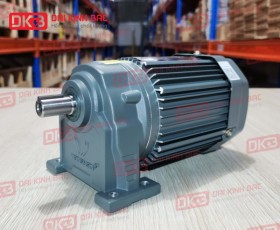 ĐỘNG CƠ GIẢM TỐC CHÂN ĐẾ WANSHSIN GH18-100W-10S