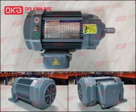 ĐỘNG CƠ GIẢM TỐC CHÂN ĐẾ WANSHSIN GH18-100W-25S