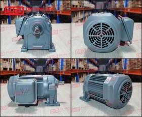 ĐỘNG CƠ GIẢM TỐC CHÂN ĐẾ WANSHSIN GH18-100W-30S