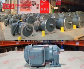 ĐỘNG CƠ GIẢM TỐC CHÂN ĐẾ WANSHSIN GH18-100W-3S
