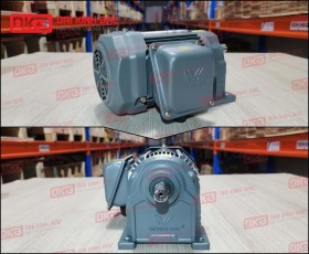 ĐỘNG CƠ GIẢM TỐC CHÂN ĐẾ WANSHSIN GH22-100W-200S