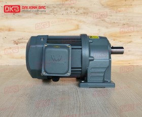 ĐỘNG CƠ GIẢM TỐC CHÂN ĐẾ WANSHSIN GH28-200W-100S