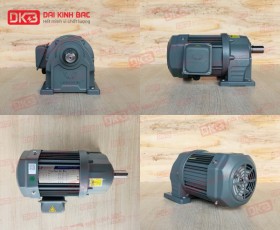 ĐỘNG CƠ GIẢM TỐC CHÂN ĐẾ WANSHSIN GH28-200W-120S