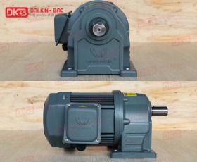 ĐỘNG CƠ GIẢM TỐC CHÂN ĐẾ WANSHSIN GH28-200W-200S