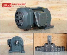 ĐỘNG CƠ GIẢM TỐC CHÂN ĐẾ WANSHSIN GH28-750W-15S