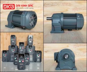 ĐỘNG CƠ GIẢM TỐC CHÂN ĐẾ WANSHSIN GH28-750W-30S