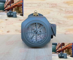 ĐỘNG CƠ GIẢM TỐC CHÂN ĐẾ WANSHSIN GH40-1500W-100S